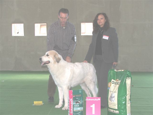 Celice Nationaal Sieger en BOB Dortmund 2007