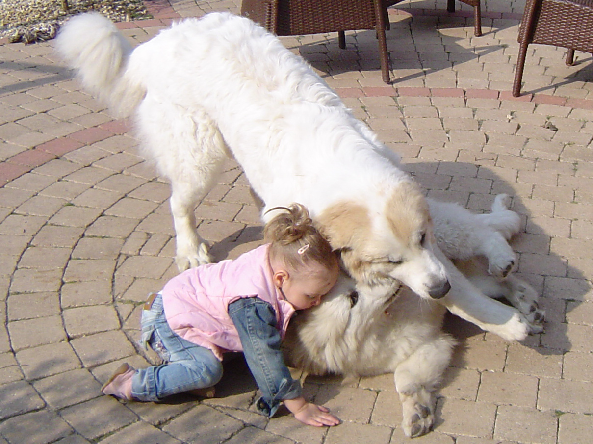 Zoe, Celice en Caitlin