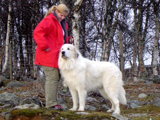 Beate and Caldo