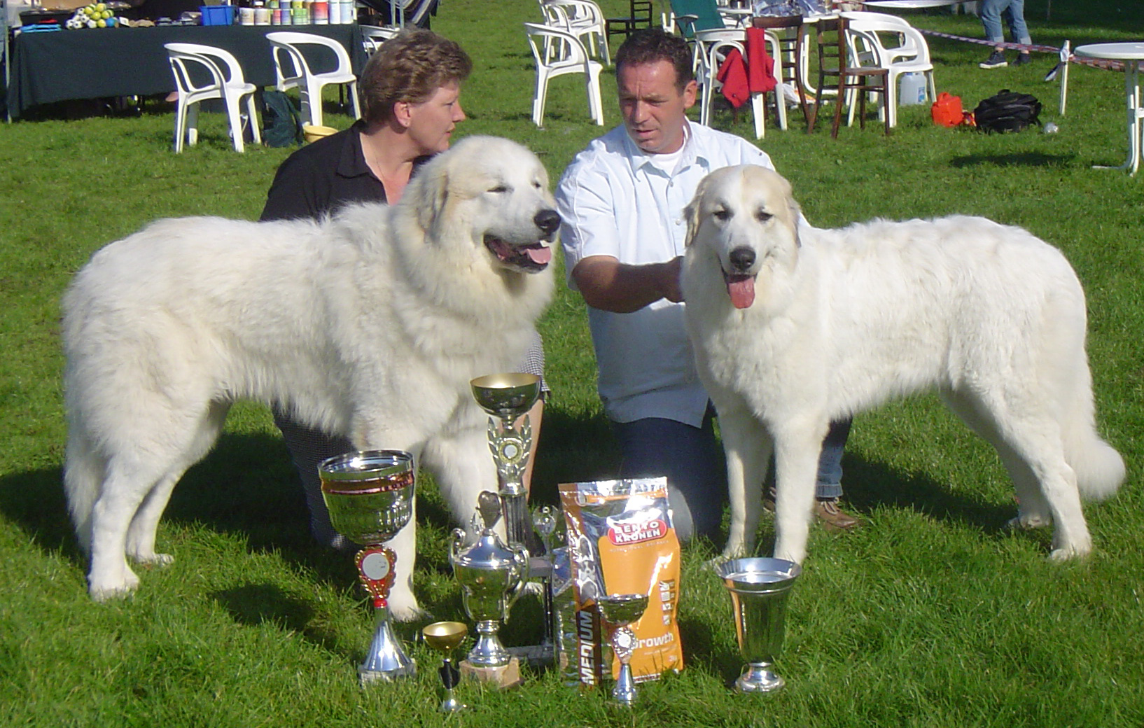 Beste Reu en Beste Teef Jonge Hondendag Belgie 2006