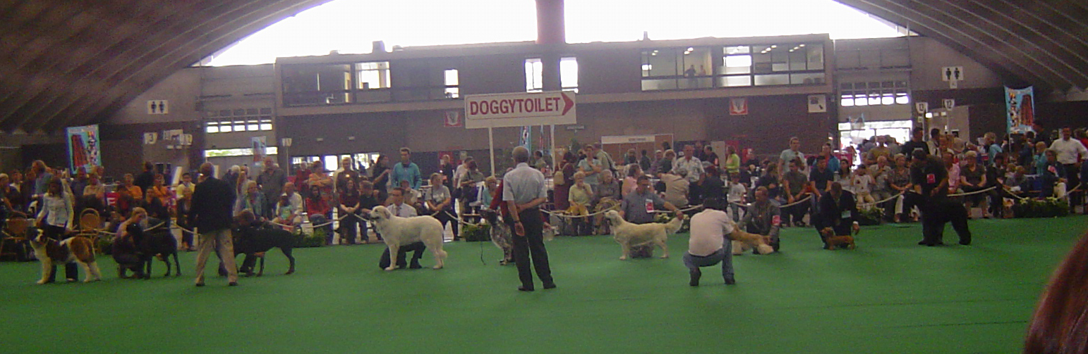 Selectie erering Jeugdhonden Mechelen 2006