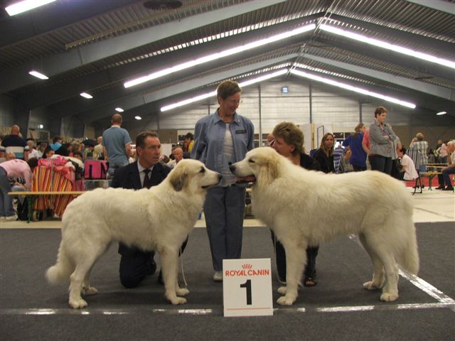 BOB en Bos Berghem 2007