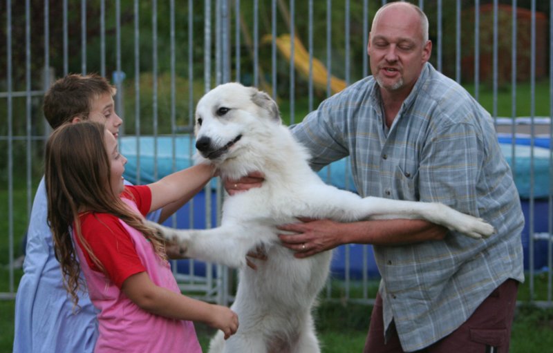 Cindy bij haar gastgezin Familie Pronk van kennel Du Chamourel