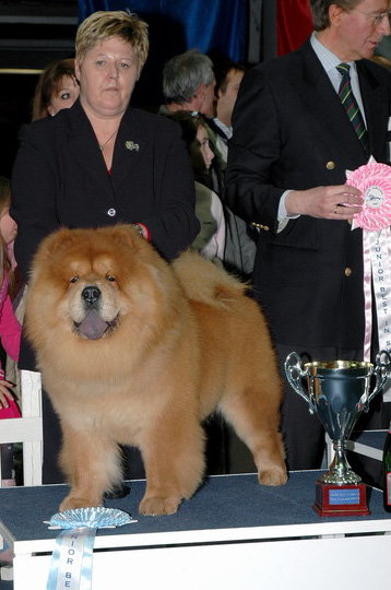 Gordana Zupanc met haar 2e Beste Jeugdhond in Show