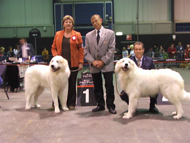 Beste Male and reserve Best Male Zwolle 2007