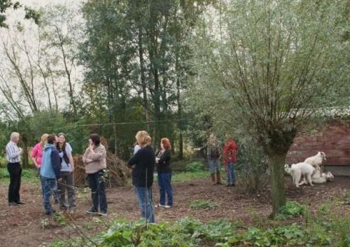 wordt op de achtergrond vakkundig een zus gesloopt