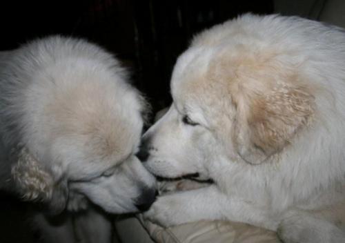 Floyd met Mamma